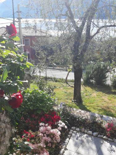 Apartamento Appartamenti Prima Luce