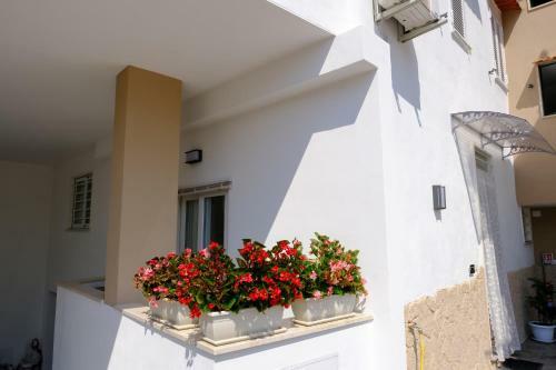 Apartamento B&B Toci