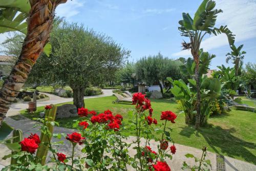 Apartamento Borgo Donna Canfora