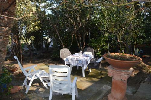 Hostal B&B Il Giardino Segreto