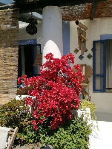 Hostal La Rosamarina