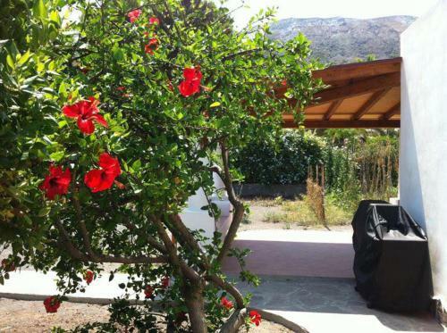 Villa By The Vulcano