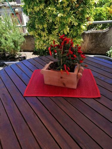 Apartamento Villa Aurora