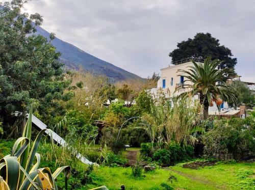 Apartamento La Casa Di Nonna Ida