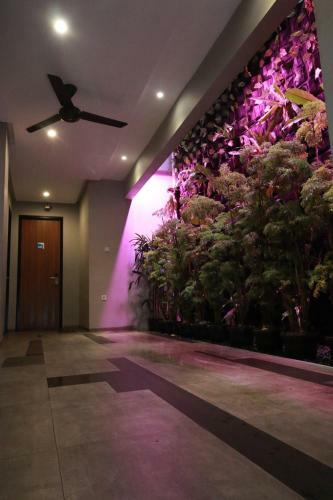 Albergue Bale Resident