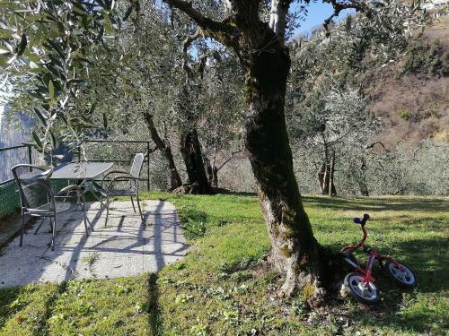 Casetta Delle Olive