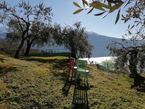 Casetta Delle Olive