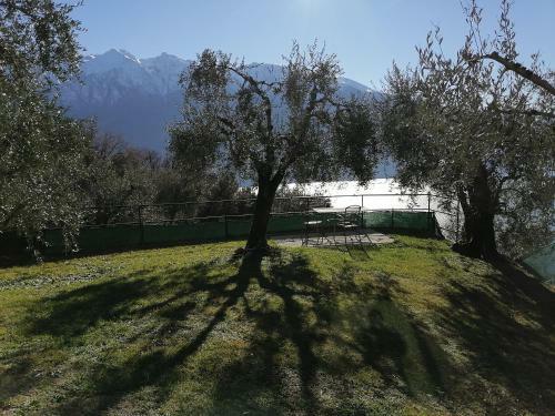 Casetta Delle Olive