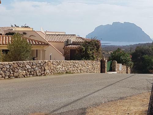 La Tana Del Drago