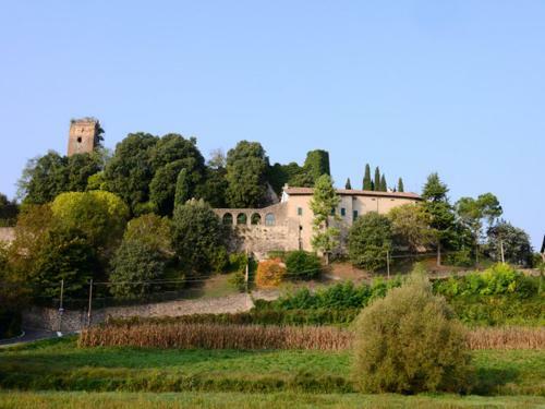 B&B Pivi