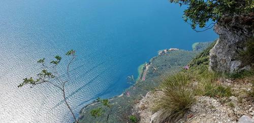 Apartamento Appartamento Annarosa Al Poggio