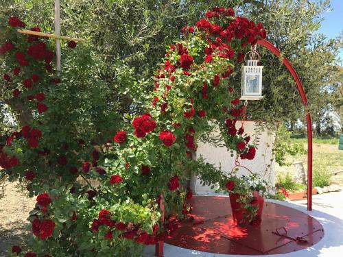 Bed & Breakfast Villa Cenzina