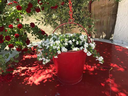 Bed & Breakfast Villa Cenzina