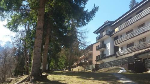 Apartamento Casa Cinque Funghi Folgarida