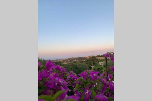 Living Smeralda, 360� Panoramic View