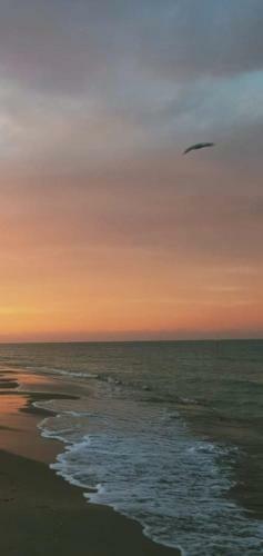 Apartamento Casamare Alba Adriatica Frontemare