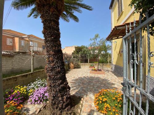 B&B "la Bouganville 1"