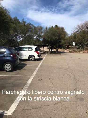 Ladunia 3m - Giardino