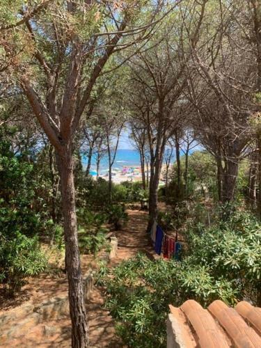 Apartamento Jana De Mar
