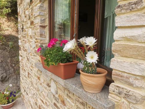 Apartamento Casa Bella Vista