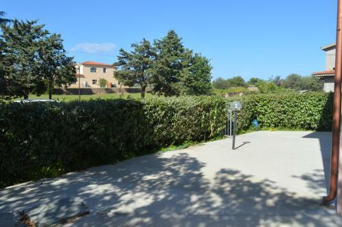 Apartment Edera