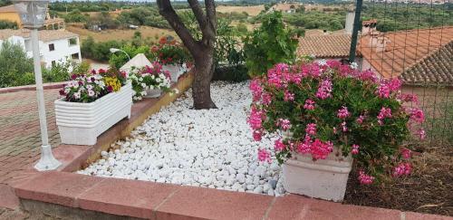 Villa Delle Rose