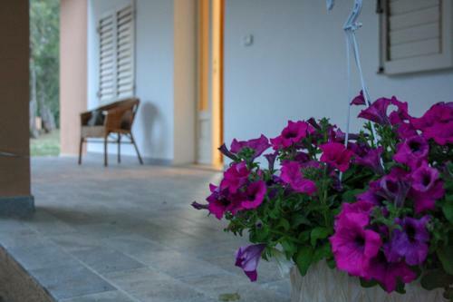 Bed & Breakfast Domo De Folas
