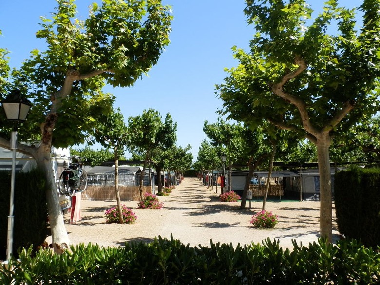 Camping Clar�