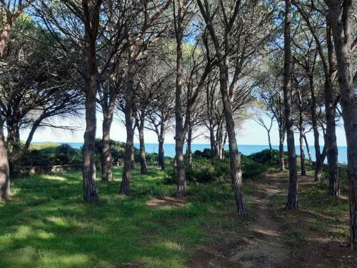 Villa Sulla Spiaggia