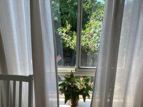 Apartamento Maple's Place ???? ????? ?????