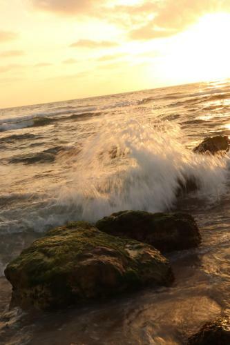 Zohara By The Beach