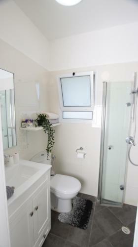 Hostal Cute & Cozy Studio Apt In Zichron Yaakov