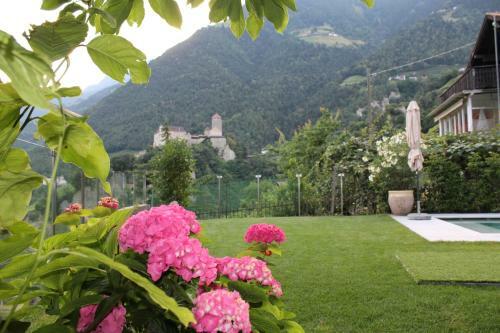 Apartamento Villa Falkner