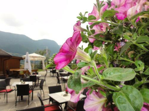 Hotel Garni Schneeburghof