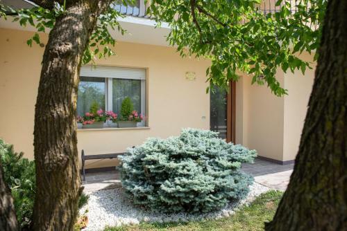 Bed & Breakfast Brentagiardino