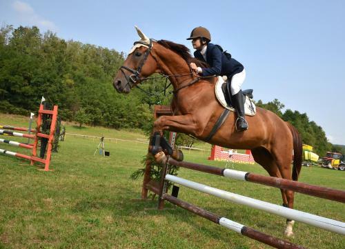 Depandance Biribino 9 People