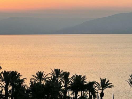 Apartamento King Tower In Galilee