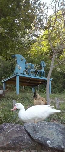 B&B Terre E Colori