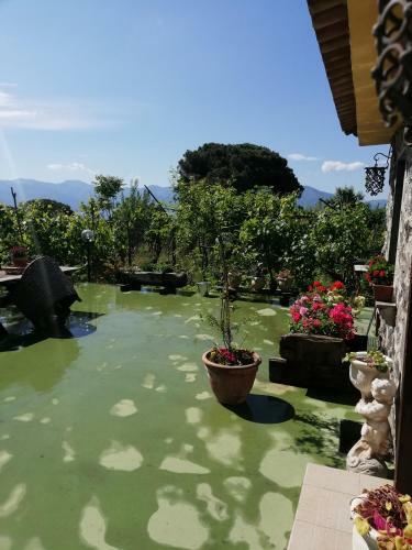 Apartamento Pietramiliare