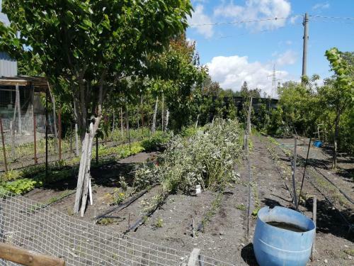 Apartamento Vesuvio