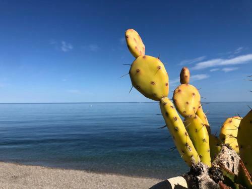 Apartamento Appartamento Casasolemare Fondachello