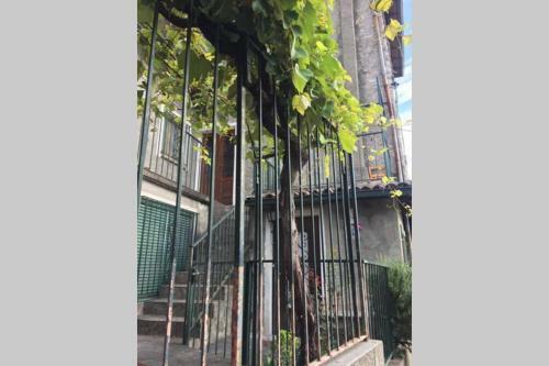 Nel Set Di Piccolo Mondo Antico Villa Viola