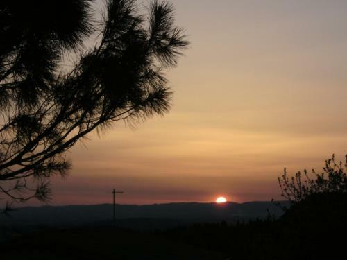 Bed & Breakfast Casa Lucia In Chianti