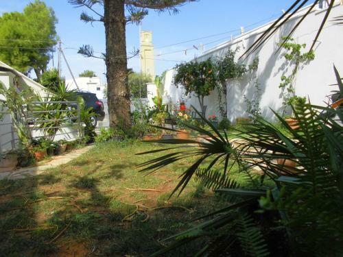 Bed & Breakfast Araucaria