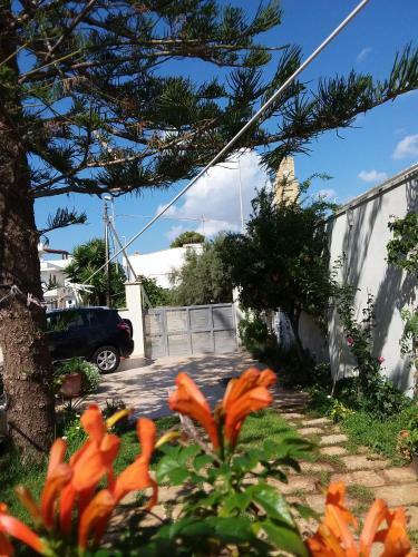 Bed & Breakfast Araucaria