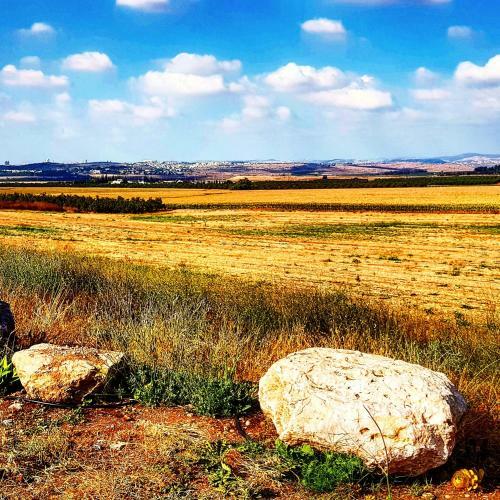 Bed & Breakfast Kibbutz Nachshon