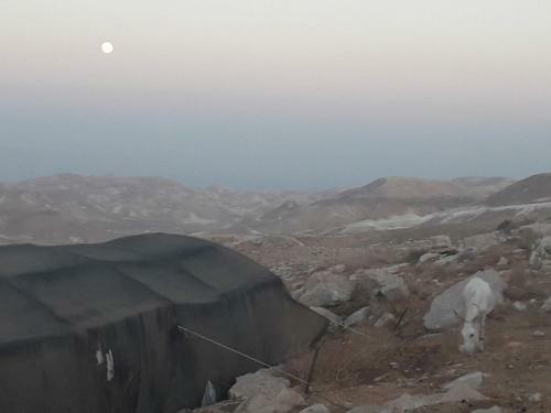 ???? ????? ??? ????? Sfar Hamidbar Farm