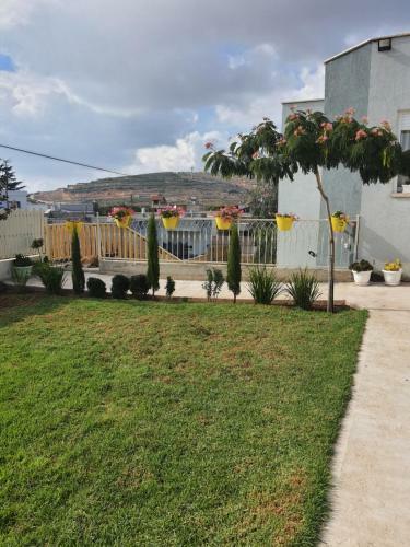 Apartamento ???? ????