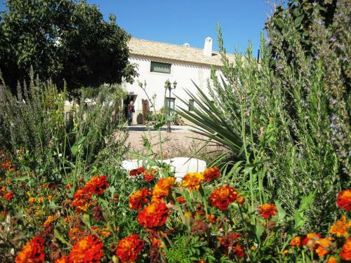 Hostal Jardines De Casablanca