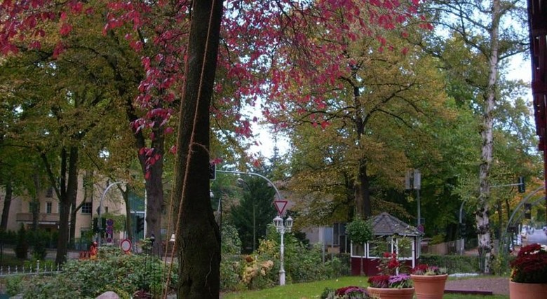 Hostal Pension Dalg